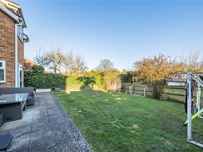 Garden: